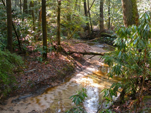 Parched Corn Creek - Rough Trail